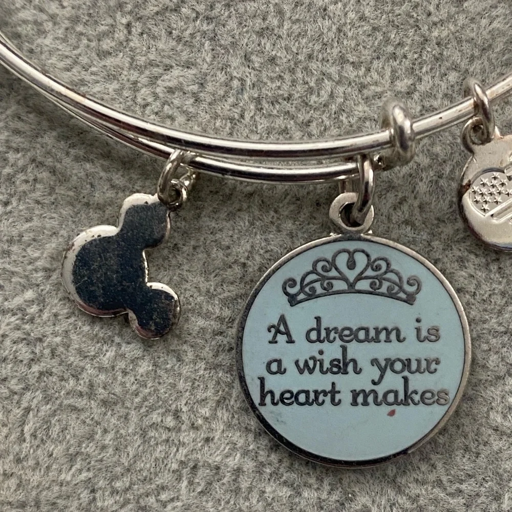 Disney Alex and Ani 